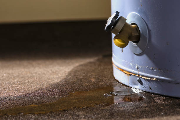 Best Fire Damage Restoration  in Goliad, TX
