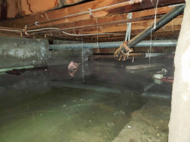 Best Sewage cleanup and water damage restoration  in Goliad, TX