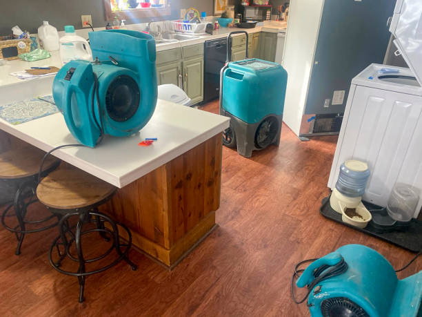 Best Sewage cleanup and water damage restoration  in Goliad, TX