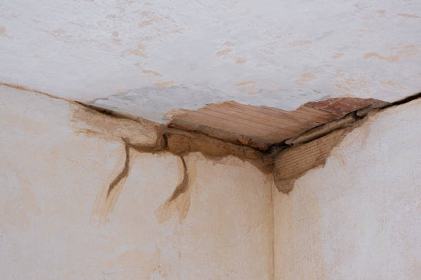 Best 24-hour water damage restoration  in Goliad, TX