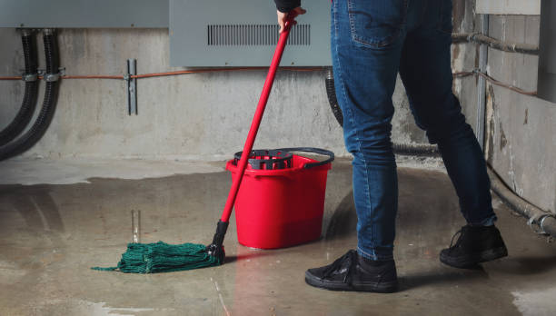 Goliad, TX Water damage restoration Company