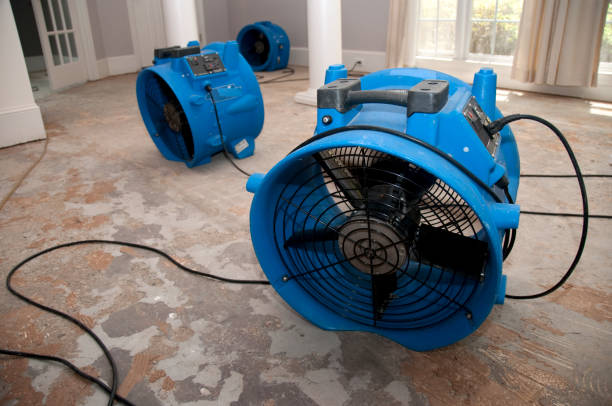 Best Basement water damage restoration  in Goliad, TX