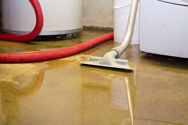 Best Flooded house restoration  in Goliad, TX
