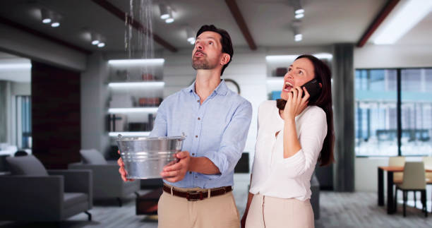 Best Water damage restoration mold remediation  in Goliad, TX