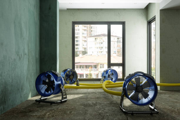 Sewage cleanup and water damage restoration in Goliad, TX